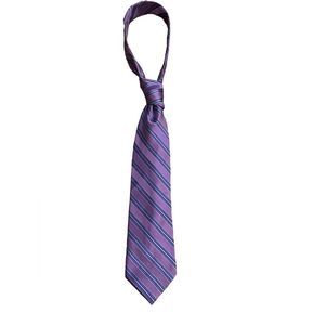 Saddlebred 100% Silk Tie